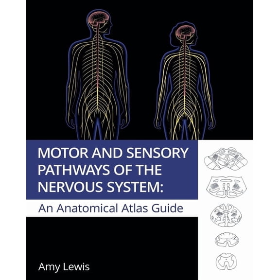 Motor and Sensory Pathways of the Nervous System, (Paperback)