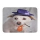 YUSDECOR Blanc Chien en Colère Orange Chihuahua en Costume Pourpre Patron Tapis de Porte Tapis de Bain 23.6x15.7 Pouces – image 1 sur 1