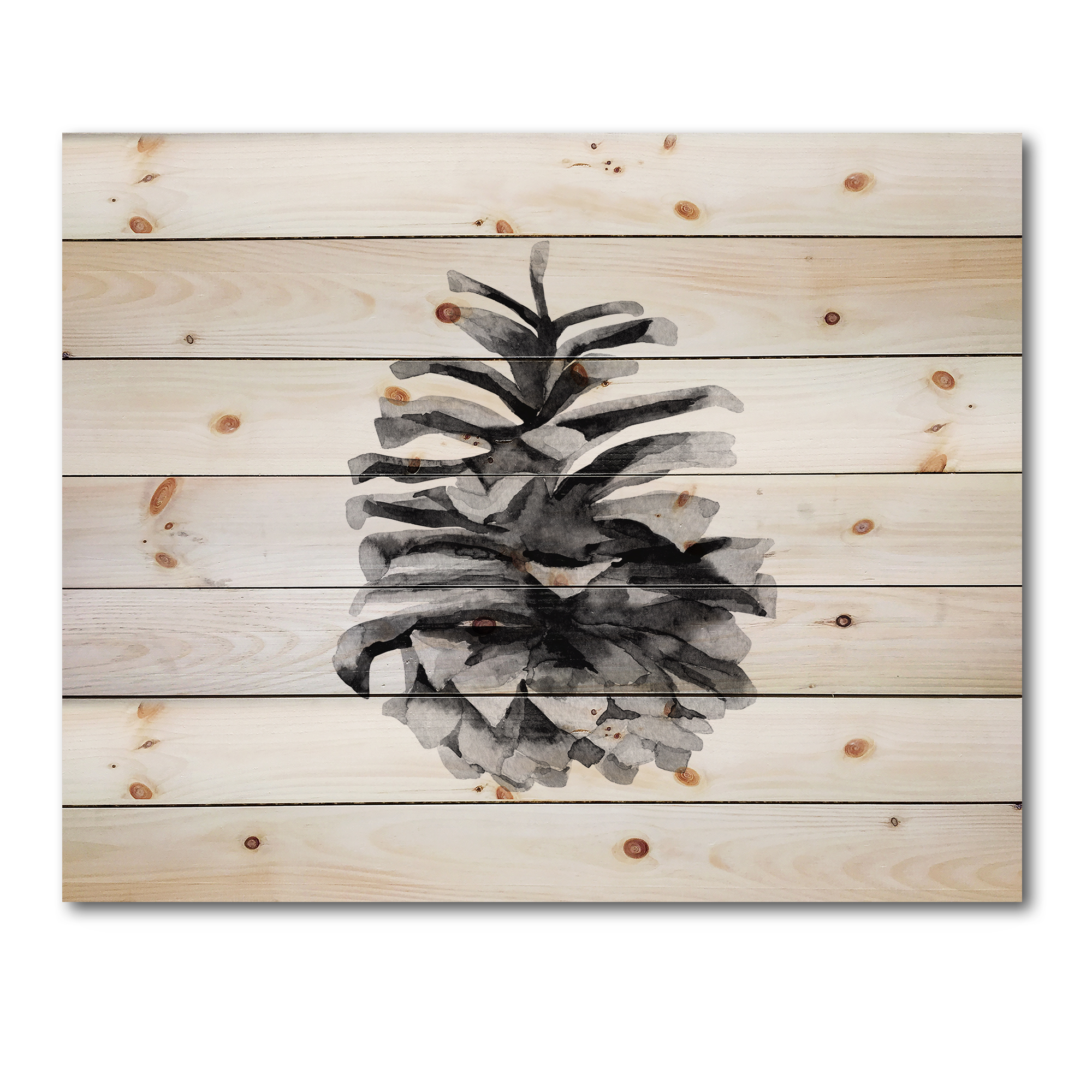 Designart 'Conifer Cone Black and White' Traditional Print on Natural Pine Wood