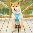 thumbnail image 2 of Pet Dog Cat Puppy Harness and Leash Set- All Weather Mesh  Step In Vest Harness for Cats  Small Dogs, 2 of 9