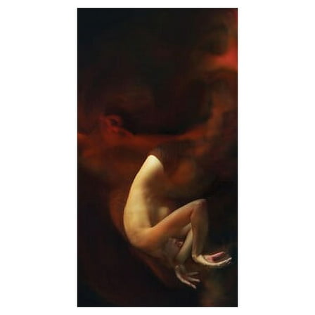 Ricinn - Nereid - Music & Performance - CD