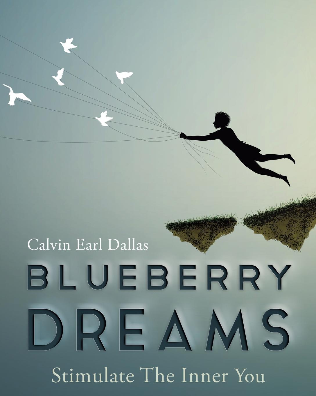 Blueberry Dreams Stimulate The Inner You (Paperback)