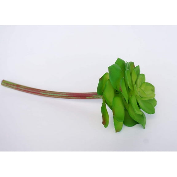Artificial Echeveria Succulent in Green -1 Piece (4“ x 8")