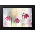 thumbnail image 2 of Disher, Mandy 24x17 Black Modern Framed Museum Art Print Titled - Snakes Head Fritillary, 2 of 5
