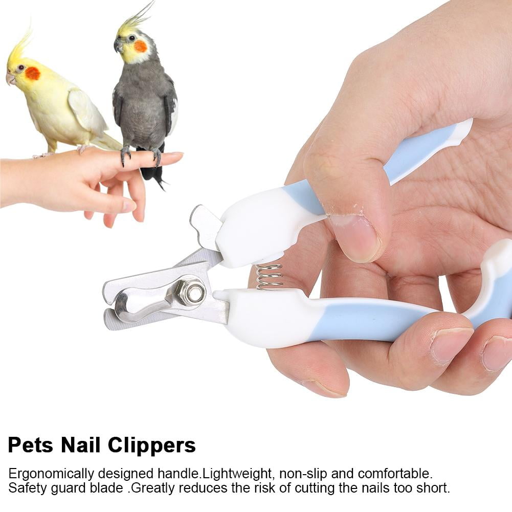 bird nail cutter