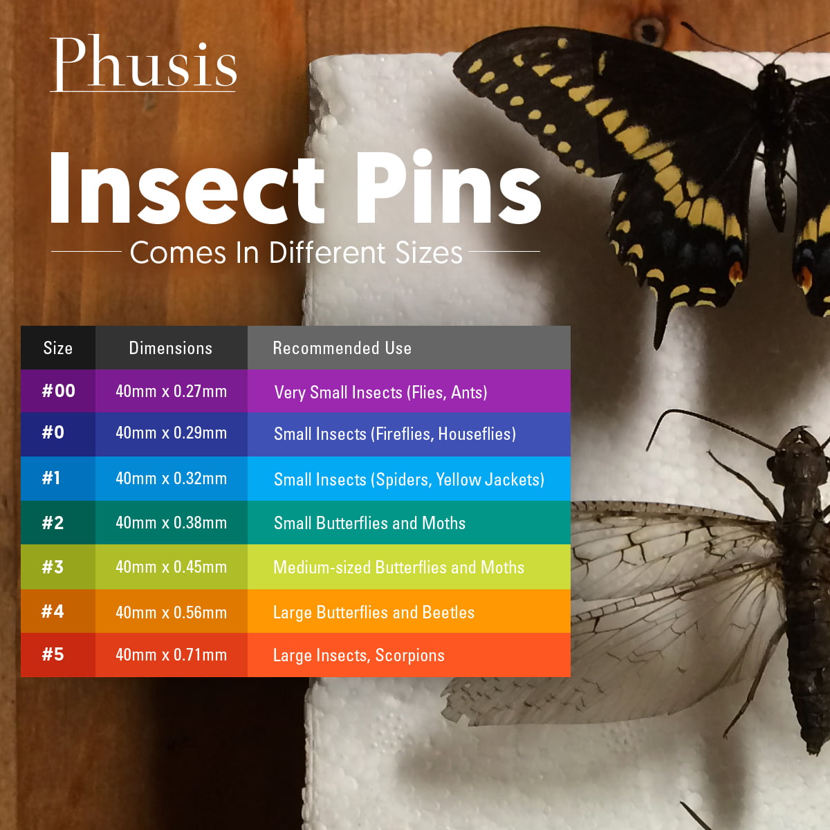 Phusis Stainless Steel Insect Pins for Entomology Includes Sturdy Storage Containers Dissection 300 Pieces| 3 Vials of 100 Pins Butterfly Collections Size #5 