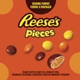 thumbnail image 2 of REESE'S PIECES Candy, 800g, 2 of 7