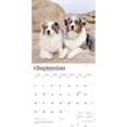 thumbnail image 4 of Australian Shepherds | 2026 12x24" (Hanging) Square Wall Calendar | Plastic-Free, 4 of 9