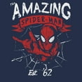 thumbnail image 2 of Men's Marvel: Spider-Man Est. 62 Retro Pose Graphic T-Shirt, 2 of 3