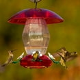 thumbnail image 4 of More Birds Plastic Jubilee Hummingbird Feeder with Ant Moat, 20 oz. capacity, 4 of 4