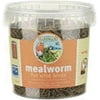 Gardman BA04510 Mealworm Tub Small, 3.5 oz. (100 gram) 3.5-Ounce