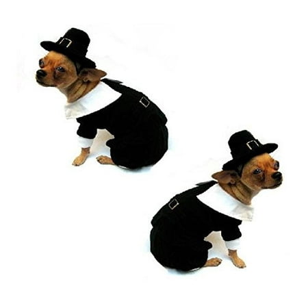 Dog Costume PILGRIM BOY COSTUMES Dress Your Dogs For Thanksgiving (Size 1)