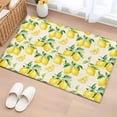 thumbnail image 3 of Farmhouse Watercolor Front Door Rugs 2x3 ft Lemon Fruit Beige Letter Background Small Rug for Entryway Non Slip Washable Bathroom Door Mat Absorbent Floor Mat for Indoor Entrance, 3 of 9