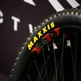 thumbnail image 5 of Cubierta Maxxis Aspen ST 29x2.4 Tubeless EXO 170TPI, 5 of 5