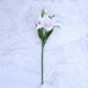 thumbnail image 3 of 5 flores artificiales de lirio de PVC para decoración del hogar, bodas y fotos (blanco y rosa), 3 of 5