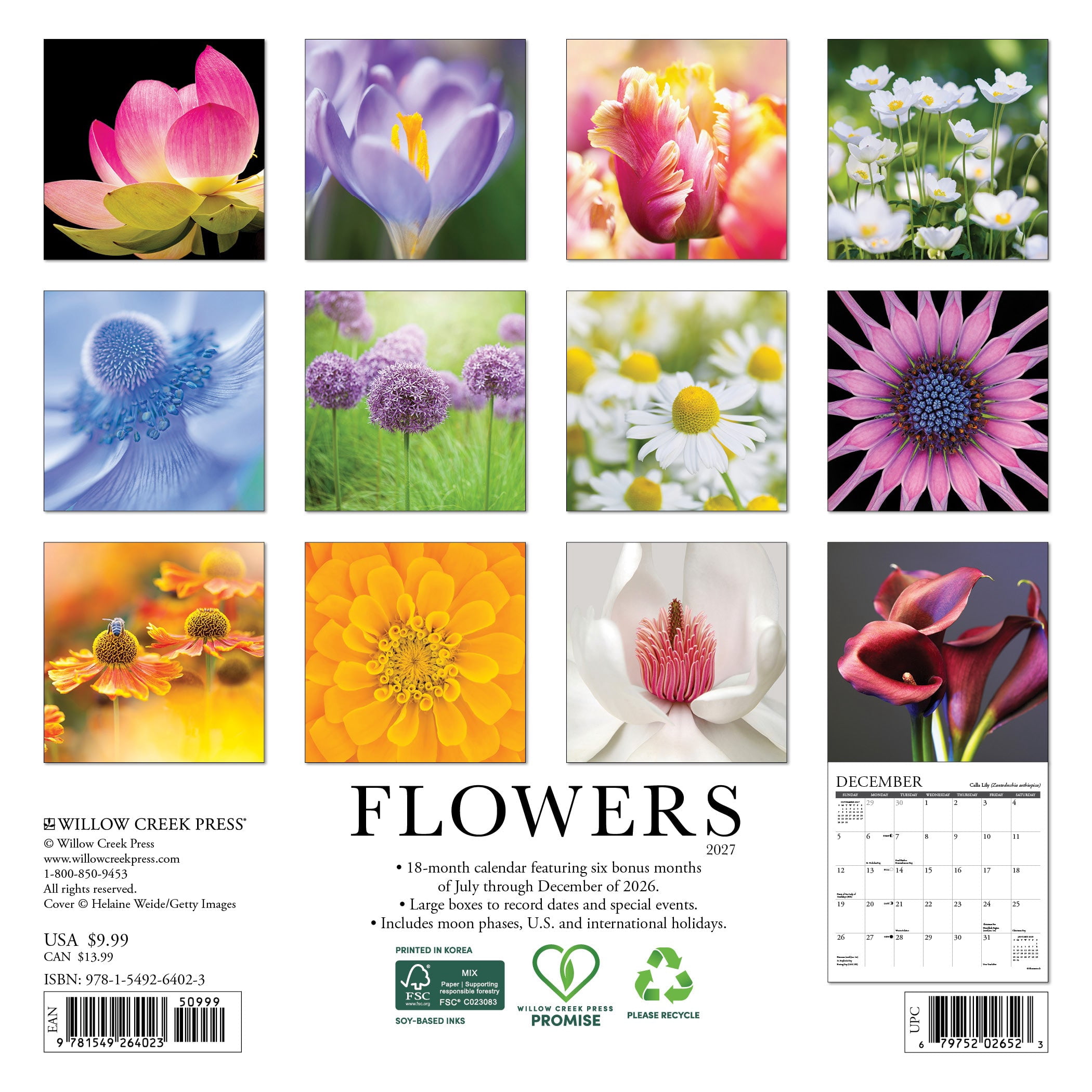 Willow Creek Press, Flowers 2027 Mini Wall Calendar