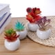 thumbnail image 3 of 4 mini suculentas artificiales decorativas con macetas blancas (multicolor), 3 of 5