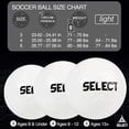 thumbnail image 3 of Balón de fútbol Select Club DB V22, paquete de 12, talla 4 con bolsa, 3 of 6