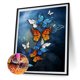 thumbnail image 1 of Cuadros Decorativos Kit de pintura de diamante 5D Mariposas de bricolaje Imagen de taladro cuadrado completo (ZQF4038) Sywqhk Nuevos Originales, 1 of 1