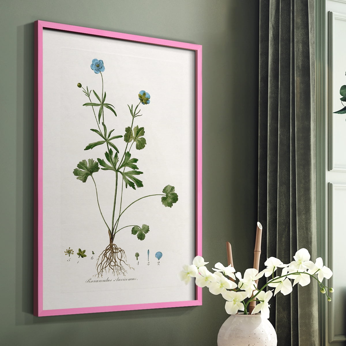 Buttercup Study Framed Print in Pink Solid Wood Framed Print No Nail Hanging