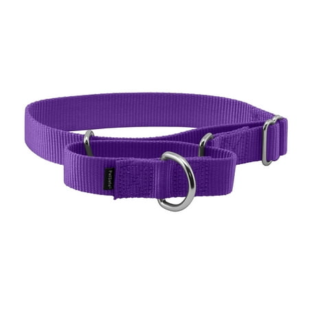 PetSafe Martingale Dog Collar, Greater control and reduce the risk of slipping out, Medium, 1 in, Deep Purple