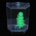 thumbnail image 1 of Fish Breeder Box For Aquarium,  Breeder Box Fish Breeding Box Transparent Water Plants Hatching Incubator Acrylic Breeder Isolation Divider For Baby Fish Shrimp Betta Guppy, 1 of 7