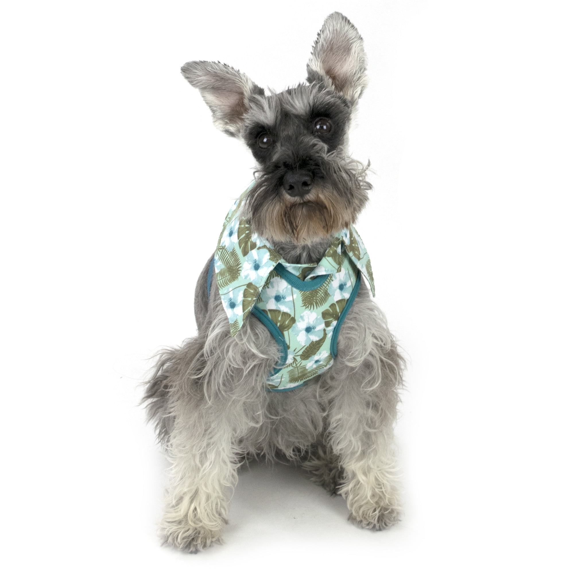 Vibrant Life Hawaiian Shirt Dog Harness, Small Walmart