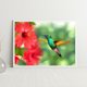 thumbnail image 4 of Cuadros Decorativos 5D flor pájaro mosaico diamante pintura dibujo completo redondo taladro DIY arte artesanía JShteea Nuevos Originales, 4 of 5