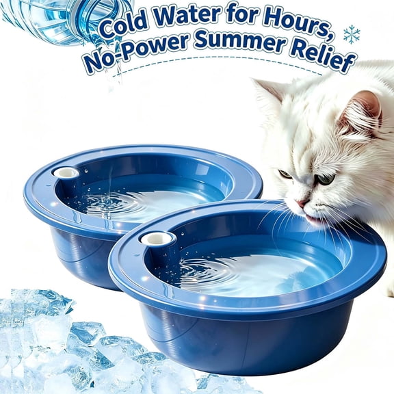 2 Pack Pet Frosty Bowl, Chilled Water Dish Keeps Water Cool for Summer Indoor Use, Dog Cooling Bowl