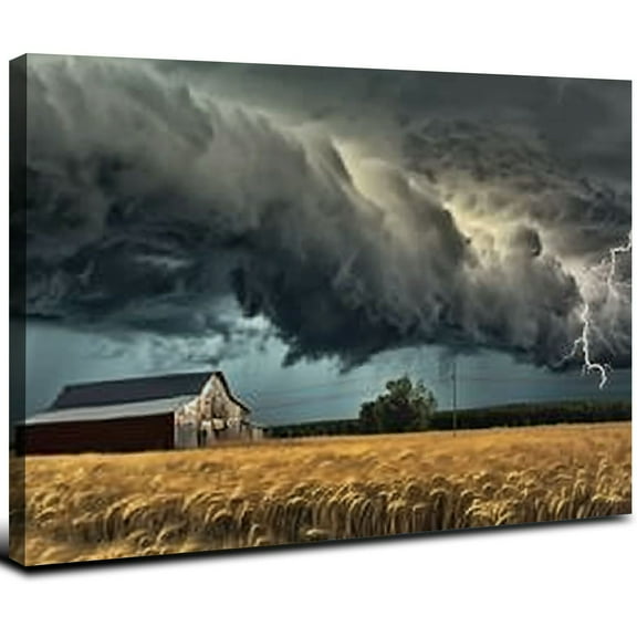 JRXY Tornado Lightning Category Field Severe Weather Poster Modern Canvas Wall Art Decor Aesthetic Poster Home Living Room Bedroom Bathroom Wall Room Decor Gift 20x16inch