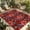 Red, variant on Teal Red Boho Floral Outdoor Rug for Patio/Deck/Porch, Non-Slip Large Area Rug 3 x 5 Ft, Vintage Southwestern Ethnic Tribe Indoor Outdoor Rugs Washable Area Rugs, Reversible Camping Rug Carpet Runner