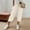 Beige, variant on LEKODE Womens Capri Pants Golf Pants Ladies Pants Barrel Pants Women Palazzo Pants for Women Dressy Sweatpants Women Wide Leg Pants Woman Pants for Women Loose Fit Beige L
