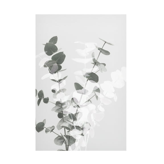 1x Studio III 'Eucalyptus Creative 08' Canvas Art