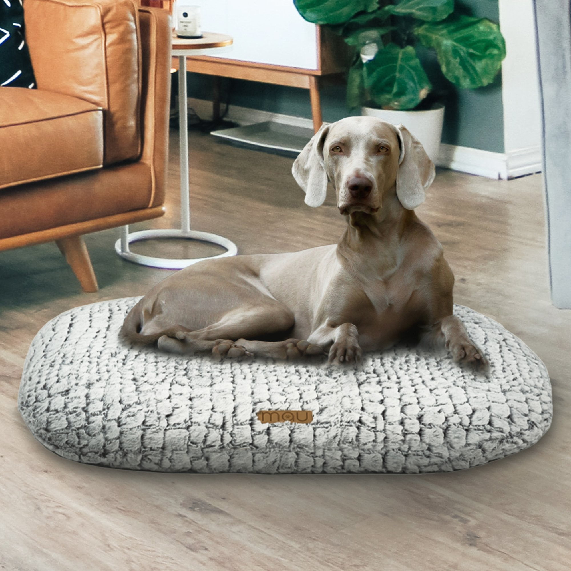 Crocs Pet Bed  POPSUGAR Pets