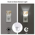 thumbnail image 2 of KLL World Map 1 for Night Lights,Auto Sensor Night Lamp Plug in Night Light with Dusk-to-Dawn Light Sensor LED Nightlightfor Adults & Kids Room/Bedroom/Hallway, 2 of 7