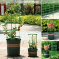 thumbnail image 5 of Patio & Garden 10 Pack Plant Support Cages Plant Support Stakes Tomato Cage with Stakes for Vegetables Flowers Fruit Rose Vine Climbing Plants, 5 of 9