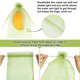 thumbnail image 4 of 100 Uds bolsas de protección de frutas 8x12 pulgadas, bolsas de cubierta de red verde protectores de frutas de malla con cordón barrera de plagas para uvas Mango, 4 of 5