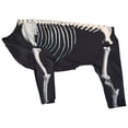thumbnail image 1 of Elastic Skeleton Costume for Large Dog Halloween Dog Jumpsuit Coat Large Extra Large Dogs Halloween Costumes Outfits Apparel, 1 of 5