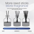 thumbnail image 4 of Brooklyn Fragrance Co. Aroma Diffuser - Long Lasting Premium Fragrance - Bergamot Water Air Freshener -Scent Diffuser for a large room - 100ML, 4 of 6