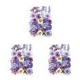 thumbnail image 3 of Ounissouiy Pegatinas de plantas secas, herramientas de bricolaje, calcomanía de flores reales, artesanía, espécimen prensado, fabricación de Type1 NO1, 3 of 6