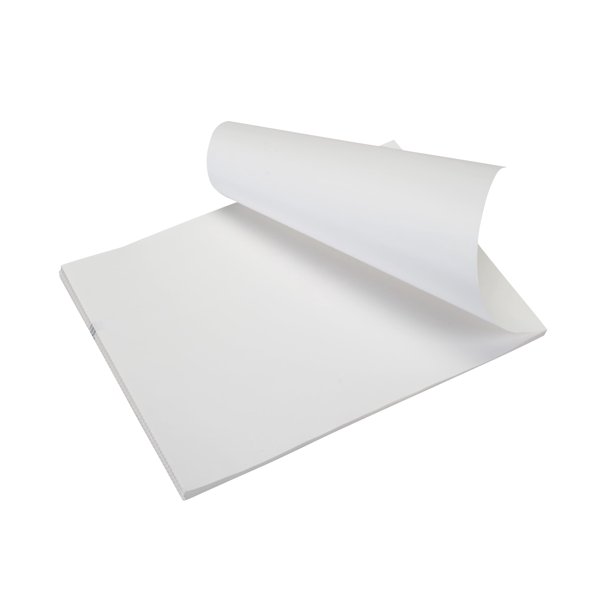 Brother Lbx073 8,5 X 11 Pulgadas, Papel Térmico Directo Estándar, Plegado En Acordeón, 1000 Hojas Para Usar Con La Serie De Impresoras Pocketjet