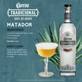 thumbnail image 5 of Jose Cuervo Tradicional Blanco Blanco Tequila, 750 ml Glass Bottle, 40% ABV, 5 of 7