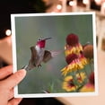 thumbnail image 7 of 3drose, Male Broad-tailed Hummingbird at Gaillardia, New Mexico, 6 Greeting Cards with Envelopes, 7 of 7