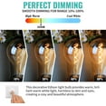 thumbnail image 6 of AMDTU LED 40W Warm Vintage Light Bulb, Dimmable, 6 of 9