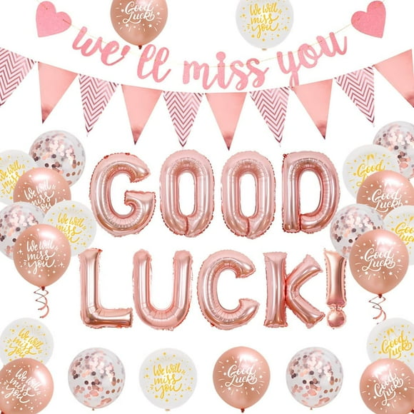 We Will Miss You Decorations Rose Gold for Women, Good Luck Banner Retirement Sorry Your Leaving Decor for Goodbye Going Away Farewell Graduation Job Change Congratulations Party Supplies