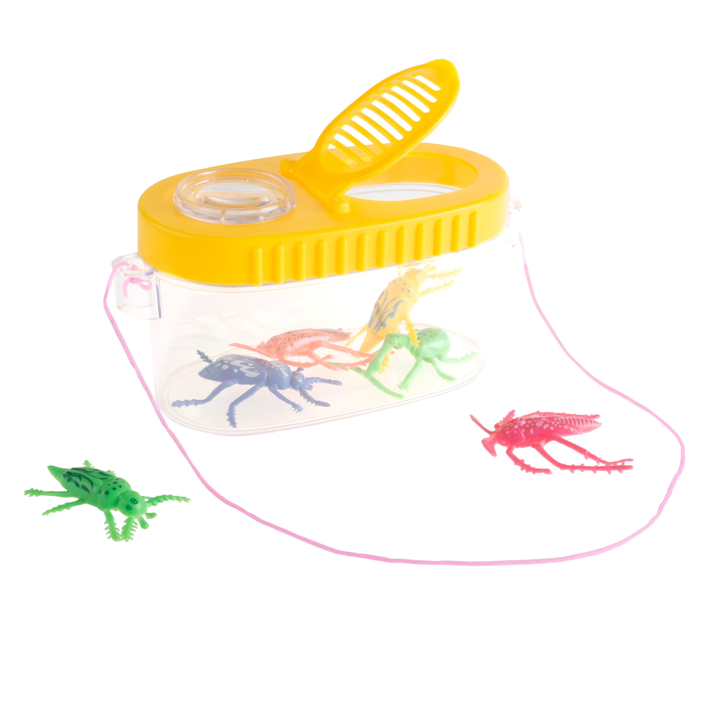 bug catching kit walmart