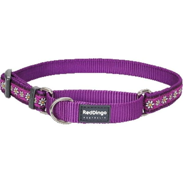 Red Dingo MC-DC-PU-ME Martingale Dog Collar Design Daisy Chain Purple- Medium