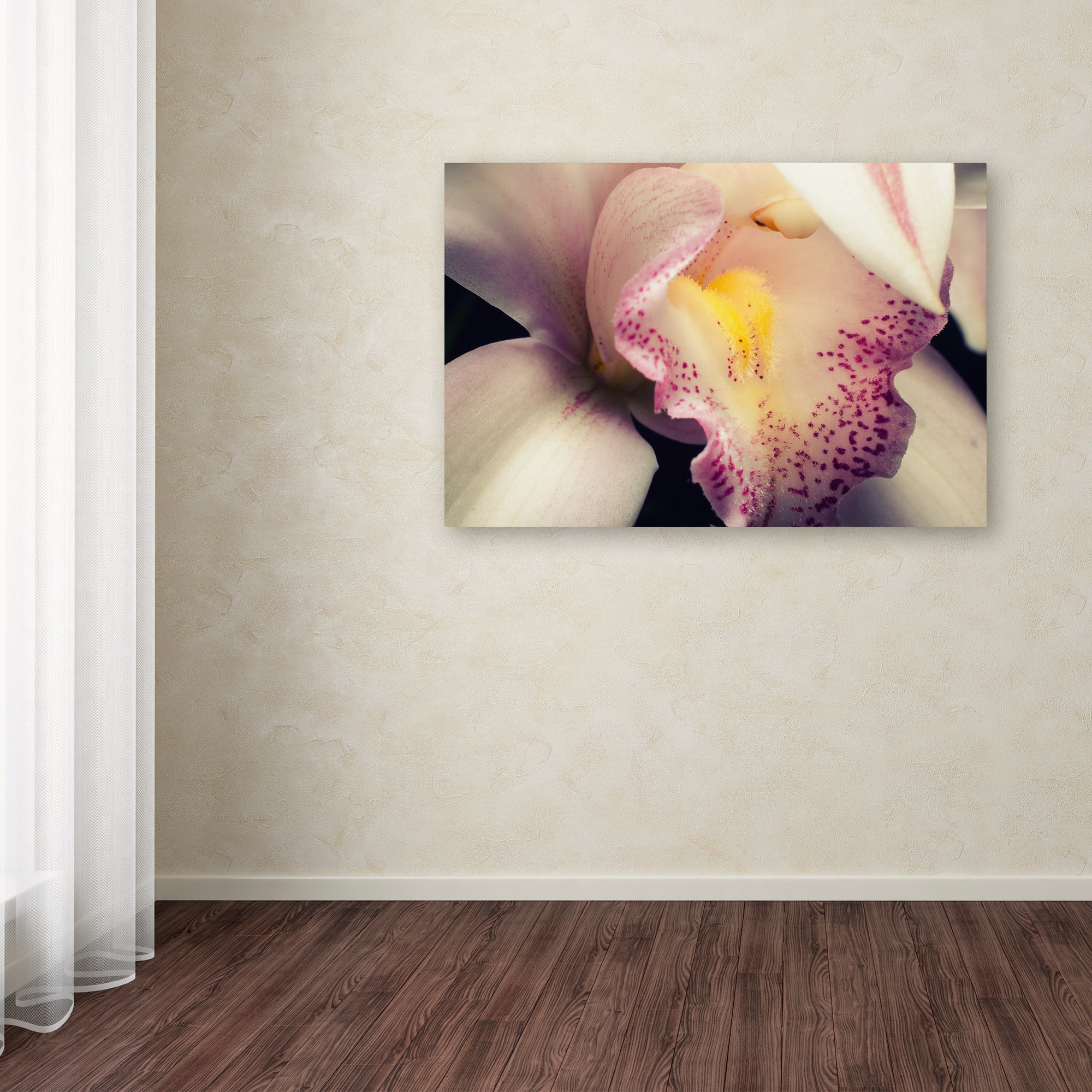 Trademark Fine Art 'Close-Up of Orchid' Canvas Art by PIPA Fine Art