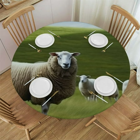 

BCIIG Sheep Dog Green Field Round Table Cover Stain Resistant Washable Indoor Outdoor Kitchen Dining Wedding Parties 100% Polyester Waterproof Fabric 42 -46
