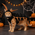 thumbnail image 7 of Centipede Cat Costume, 50'' 3D Halloween Pet Cosplay Outfit for Cats, Multi-Leg Character with Filled Body, Hook-and-Loop Fit for Parties Photos Dress-Up Pet Events and Gifts,Gold, 7 of 7